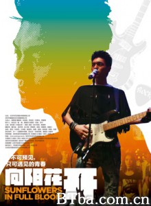 向阳花开 向阳花·开 Sunflowers in full bloom (2014) 1080P BT磁力 迅雷网盘下载