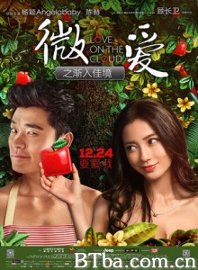 微爱之渐入佳境 微时代的爱情 微信时代的文艺爱情 (2014)  BT磁力 迅雷网盘下载