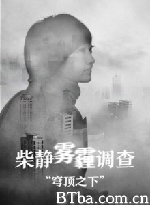 穹顶之下 穹顶之下：柴静雾霾调查 同呼吸，共命运 (2015) 720P BT磁力 迅雷网盘下载