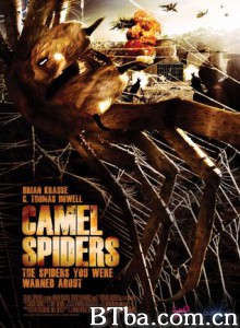 骆驼蜘蛛 食人巨蛛 Camel Spiders (2001) 1080P/720P BT磁力 迅雷网盘下载