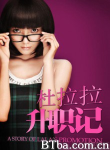 杜拉拉升职记 Go LaLa Go (2010)  BT磁力 迅雷网盘下载