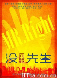 没问题先生 Mr.Right (2015) 720P BT磁力 迅雷网盘下载