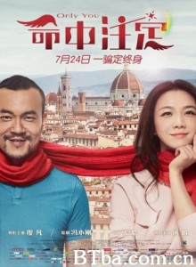 命中注定 Only You (2015) 1080P BT磁力 迅雷网盘下载