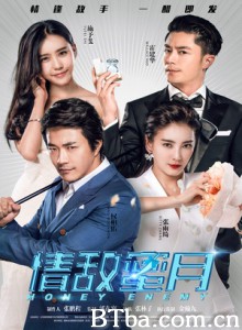 情敌蜜月 与敌人的蜜月 The Honey Enemy (2015) 1080P BT磁力 迅雷网盘下载