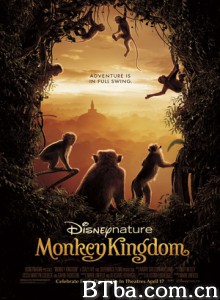 猴子王国/Monkey Kingdom-720p|1080p高清bt种子下载