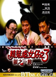 精装追女仔3之狼之一族 The Romancing Star 3 (1989) 720P BT磁力 迅雷网盘下载