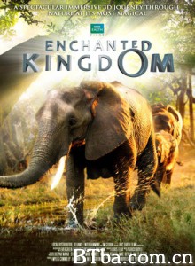 魔法王国 Enchanted Kingdom (2013) 720P BT磁力 迅雷网盘下载