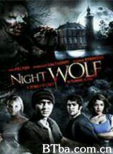 夜狼 Night Wolf (2010)  BT磁力 迅雷网盘下载
