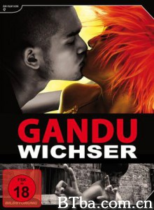 戆徒 混蛋 Gandu Asshole (2010) 1080P/720P BT磁力 迅雷网盘下载