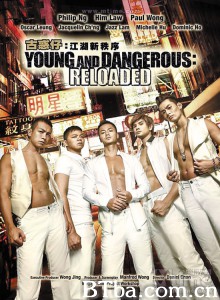 古惑仔：江湖新秩序 新古惑仔 Young and Dangerous: Reloaded (2013)  BT磁力 迅雷网盘下载
