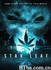 天外飞叶/星叶/Star Leaf