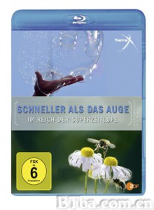 超慢动作下的世界/Terra X Schneller als das Auge