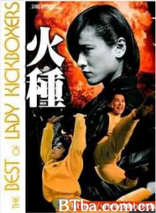 火种 angel termirators 2 (1981)  BT磁力 迅雷网盘下载