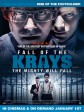 克雷兄弟的秋天/The Fall of the Krays
