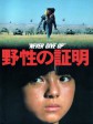 野性的证明/Never Give Up