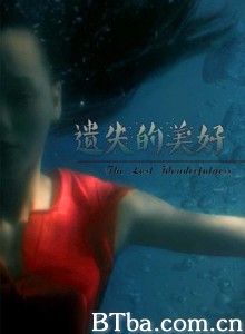遗失的美好 The Lost Wonderfuless  (2016) 1080P BT磁力 迅雷网盘下载