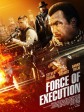 暴力执法/Force of Execution