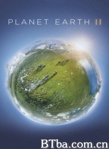 地球脉动 第二季/Planet Earth Season 2