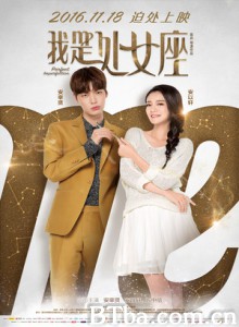 我是处女座 Perfect Imperfection (2016) 1080P BT磁力 迅雷网盘下载