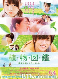 植物图鉴 Evergreen Love (2016) 1080P/720P BT磁力 迅雷网盘下载