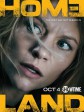 国土安全 第五季/Homeland Season 5