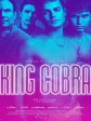 王蛇帝国/King Cobra