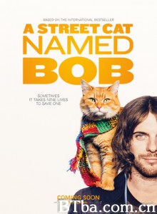 流浪猫鲍勃 街角遇见猫(港) 遇见街猫BOB(台) (2016) 1080P BT磁力 迅雷网盘下载