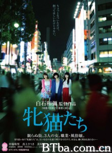 雌猫们/Dawn of the Felines