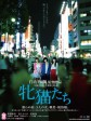 雌猫们/Dawn of the Felines