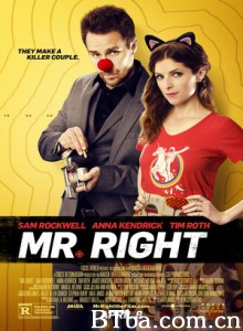真命天子 真攞命天子(港) 合适的男伴侣 Mr Right (2015) 720P BT磁力 迅雷网盘下载