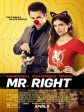 真命天子/真攞命天子(港)/合适的男伴侣/Mr Right