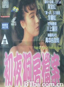 初夜洞房档案/Files Of Love On Wedding Night