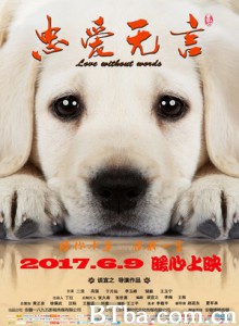忠爱无言 老人与狗 老人和狗 (2017) 1080P/4K BT磁力 迅雷网盘下载