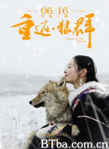 重返·狼群 Return To The Wolves (2017) 1080P BT磁力 迅雷网盘下载-影音屋