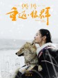 重返·狼群/Return To The Wolves