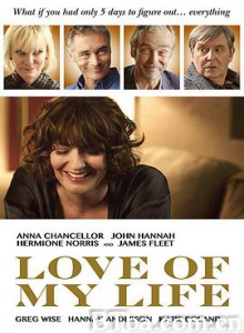 一生至爱 Love of My Life (2017) 720P BT磁力 迅雷网盘下载