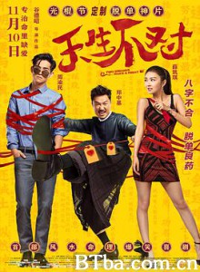天生不对 Perfect Couple (2017) 1080P/4K BT磁力 迅雷网盘下载