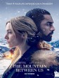 远山恋人/绝处逢山(台)/冰峰逃生(港)/The Mountain Between Us