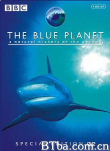 蓝色星球 The Blue Planet (2001)  BT磁力 迅雷网盘下载