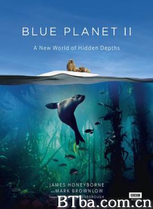 蓝色星球2/蓝色星球 第二季/Blue Planet II