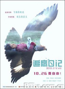 追鹰日记 Brothers of the Wind (2018) 1080P/720P BT磁力 迅雷网盘下载