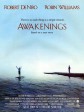 无语问苍天/睡人/苏醒/Awakenings