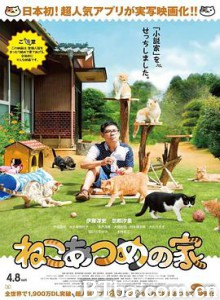 猫咪后院之家 猫咪收集之家(台) 猫咪来我家(港) ねこあつめの家 (2017) 1080P BT磁力 迅雷网盘下载