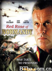 诺曼底红玫瑰 red rose of normandy (2011) 1080P BT磁力 迅雷网盘下载