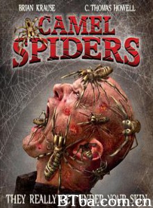 骆驼蜘蛛 食人巨蛛 Camel Spiders (2011) 1080P BT磁力 迅雷网盘下载