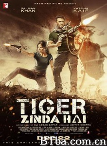 猛虎还活着 老虎是活的 Tiger Zinda Hai (2017) 1080P BT磁力 迅雷网盘下载