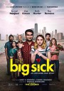 大病/爱情昏迷中(台)/情人眼里巴基斯(港)/The Big Sick