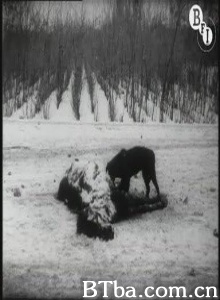 1921年俄罗斯饥荒纪实 Famine - The Russian Famine of 1921 (1921) 1080P BT磁力 迅雷网盘下载