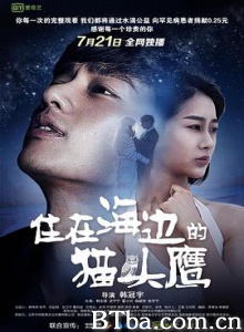 住在海边的猫头鹰 (2018) 1080P BT磁力 迅雷网盘下载