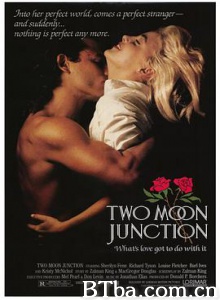 偷月情 激情交叉点 Two Moon Junction (1988) 1080P BT磁力 迅雷网盘下载